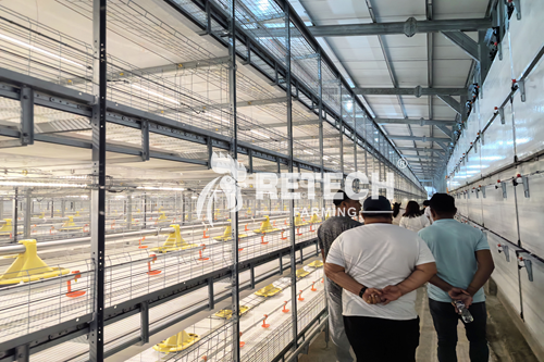 broiler cage manufacturer in Philippines