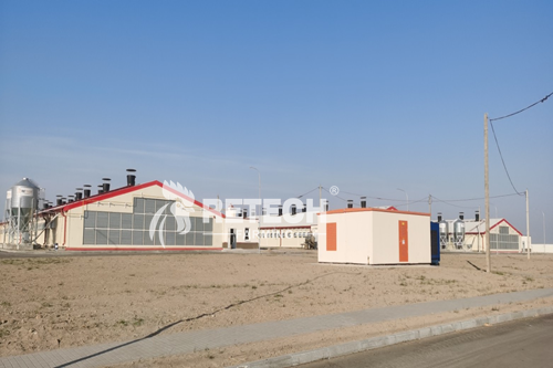 1.2 million broilers cage farm in Belarus